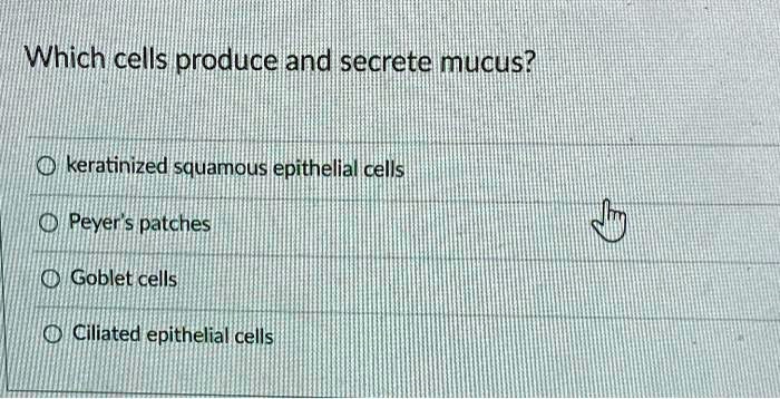 Which cells produce and secrete mucus?

keratinized squamous epithelial cells
Peyer's patches
Goblet cells
Ciliated epithelial cells