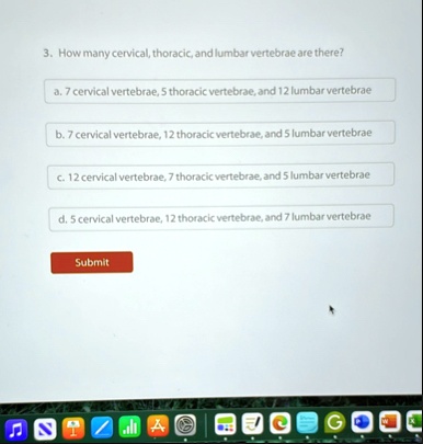 3 how many cervical thoracic and lumbar vertebrae are there a 7