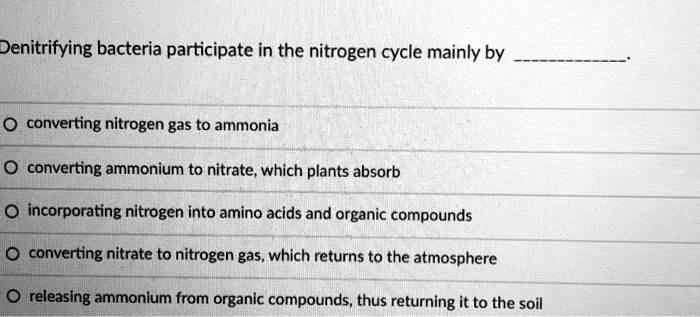 Denitrifying bacteria participate in the nitrogen cycle mainly by .

converting nitrogen gas to ammonia
converting ammonium to nitrate, which plants absorb
incorporating nitrogen into amino acids and organic compounds
converting nitrate to nitrogen gas, which returns to the atmosphere
releasing ammonium from organic compounds, thus returning it to the soil