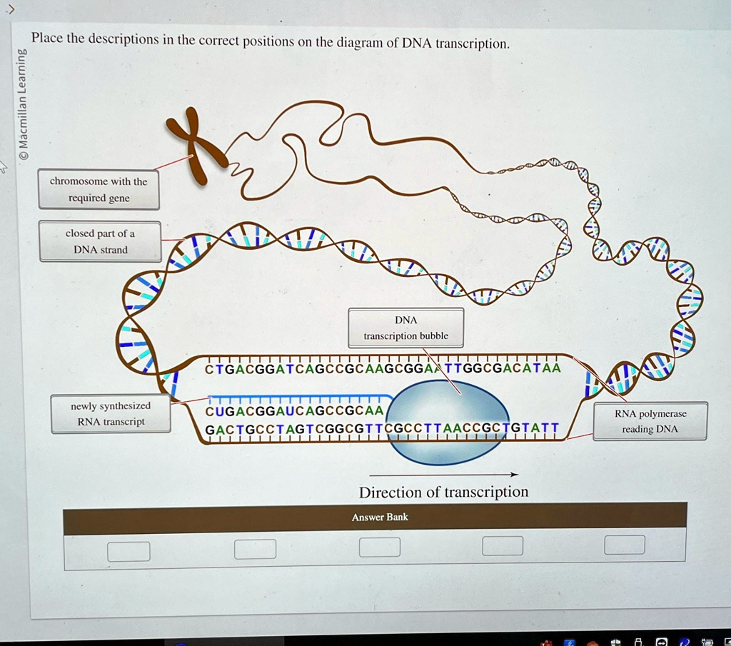 SOLVED: Place the descriptions in the correct positions on the diagram ...