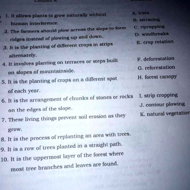 SOLVED Column A Column B 1. It allows plants to grow naturally without