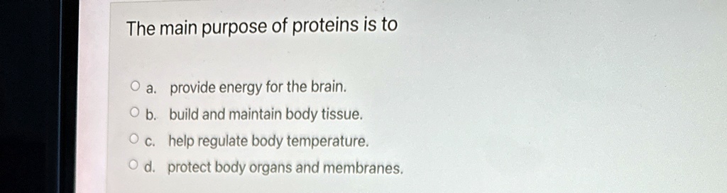 The main purpose of proteins is to
? a. provide energy for the brain.
? b. build and maintain body tissue.
? c. help regulate body temperature.
? d. protect body organs and membranes.