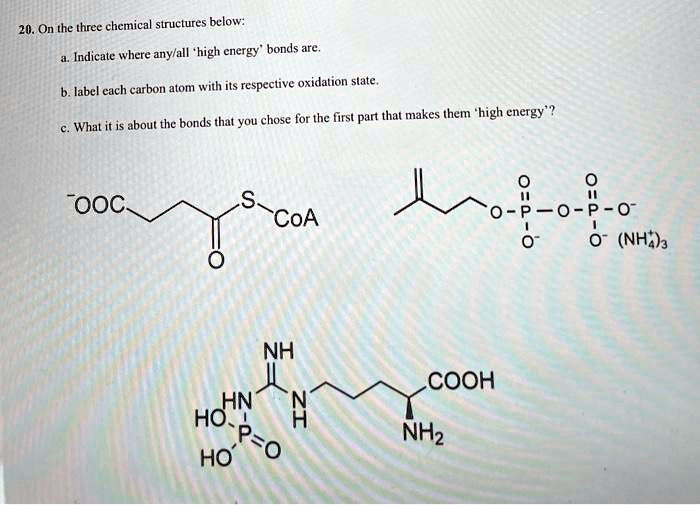 Solved On The Three Chemical Structures Below Indicate Where Anylall High Cnergy Bonds Are Label Cach Carbon Atom With Its Respective Oxidation Slate Js About The Bonds That You Chose For The