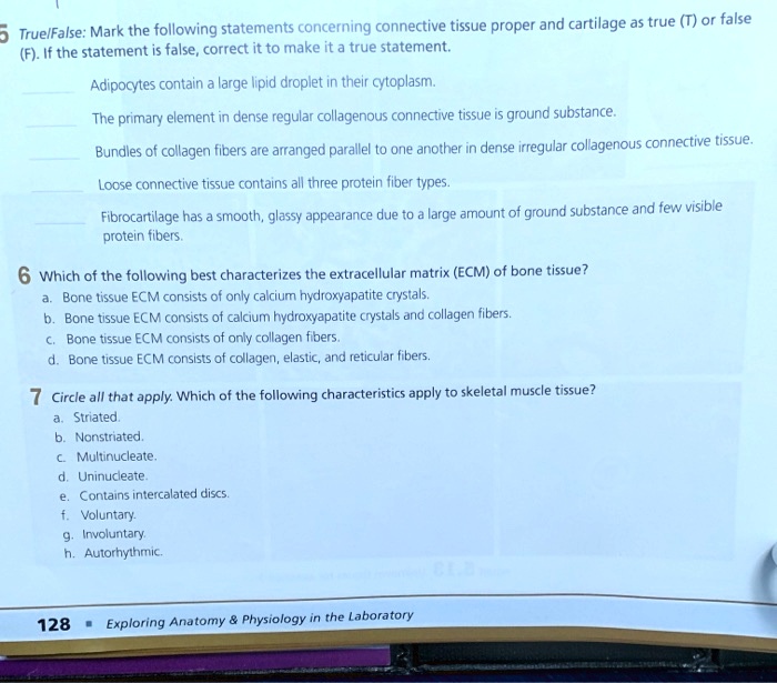 Which Of The Following Statements About Fiber Are True SOLVED: 5 TruelFalse: Mark the following statements concerning