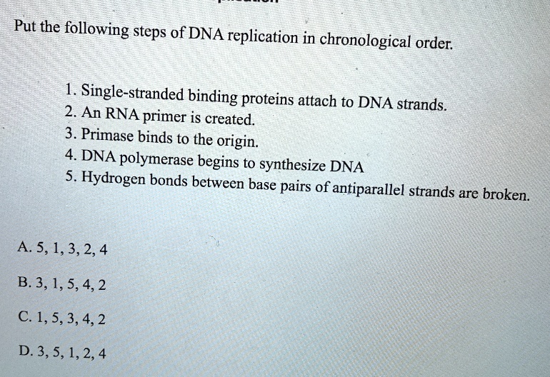 Solved Put The Following Steps Of Dna Replication In Chronological