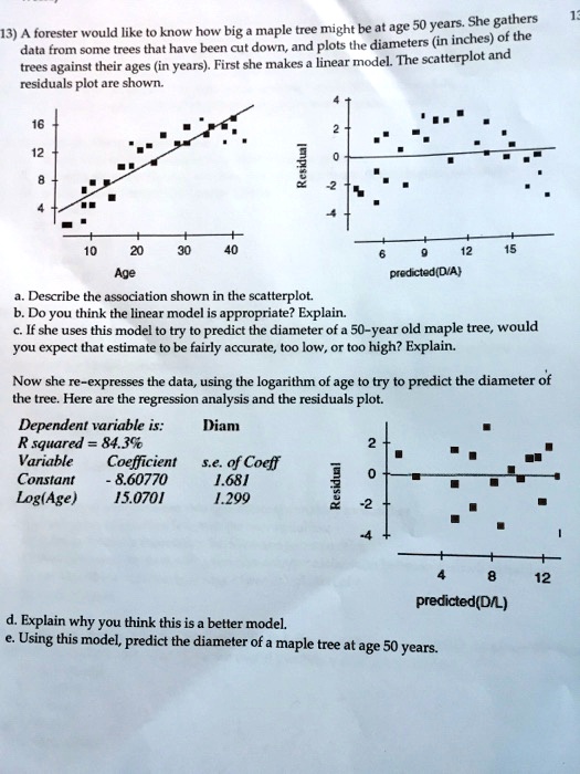 SOLVED Gathers Forester would like to know how big a maple tree might