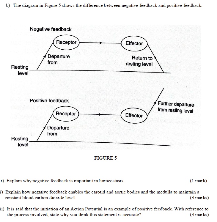 SOLVED The diagram in Figure shows the difference between negative