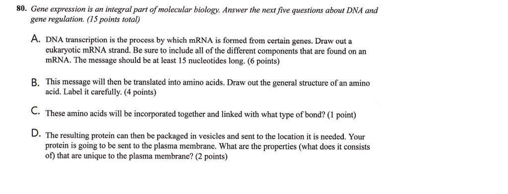 80. Gene expression is an integral part of molecular biology. Answer the next five questions about DNA and gene regulation. (15 points total)

A. DNA transcription is the process by which mRNA is formed from certain genes. Draw out a eukaryotic mRNA strand. Be sure to include all of the different components that are found on an mRNA. The message should be at least 15 nucleotides long. (6 points)

B. This message will then be translated into amino acids. Draw out the general structure of an amino acid. Label it carefully. (4 points)

C. These amino acids will be incorporated together and linked with what type of bond? (1 point)

D. The resulting protein can then be packaged in vesicles and sent to the location it is needed. Your protein is going to be sent to the plasma membrane. What are the properties (what does it consists of) that are unique to the plasma membrane? (2 points)