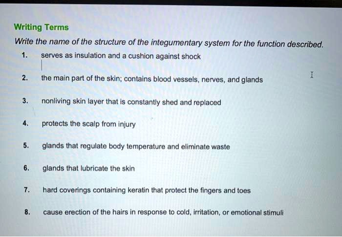 Writing Terms
Write the name of the structure of the integumentary system for the function described.
1. serves as insulation and a cushion against shock
2. the main part of the skin; contains blood vessels, nerves, and glands
3. nonliving skin layer that is constantly shed and replaced
4. protects the scalp from injury
5. glands that regulate body temperature and eliminate waste
6. glands that lubricate the skin
7. hard coverings containing keratin that protect the fingers and toes
8. cause erection of the hairs in response to cold, irritation, or emotional stimuli