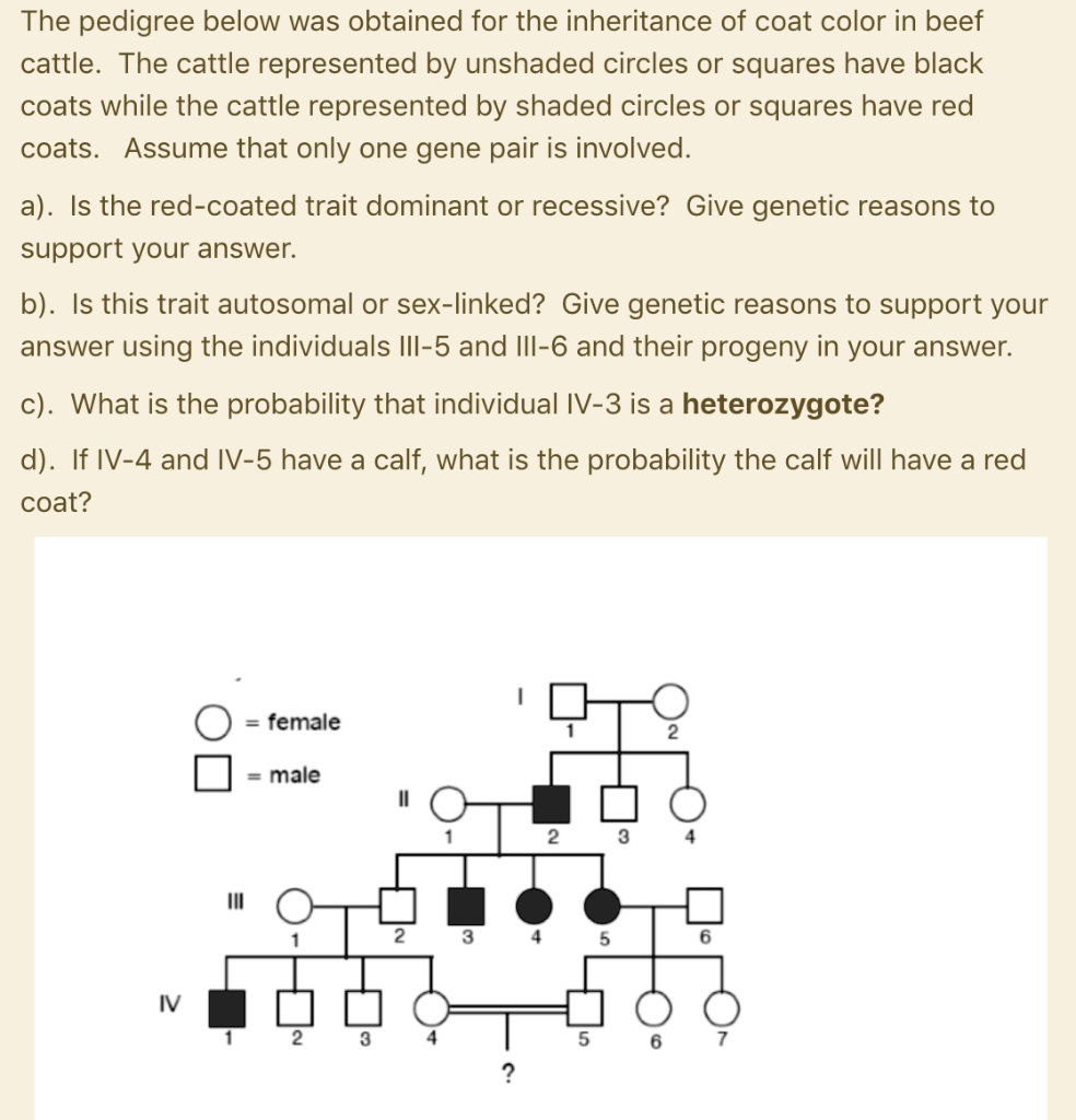 SOLVED The pedigree below was obtained for the inheritance of coat