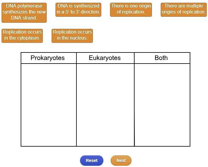 SOLVED: &quot;Determine whether the characteristics describe DNA replication ... 