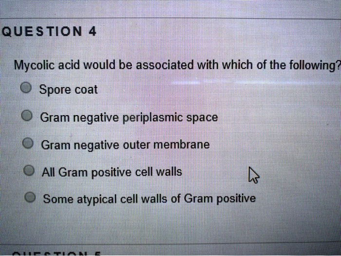 Mycolic acid would be associated with which of the following?
Spore coat
Gram negative periplasmic space
Gram negative outer membrane
All Gram positive cell walls
Some atypical cell walls of Gram positive