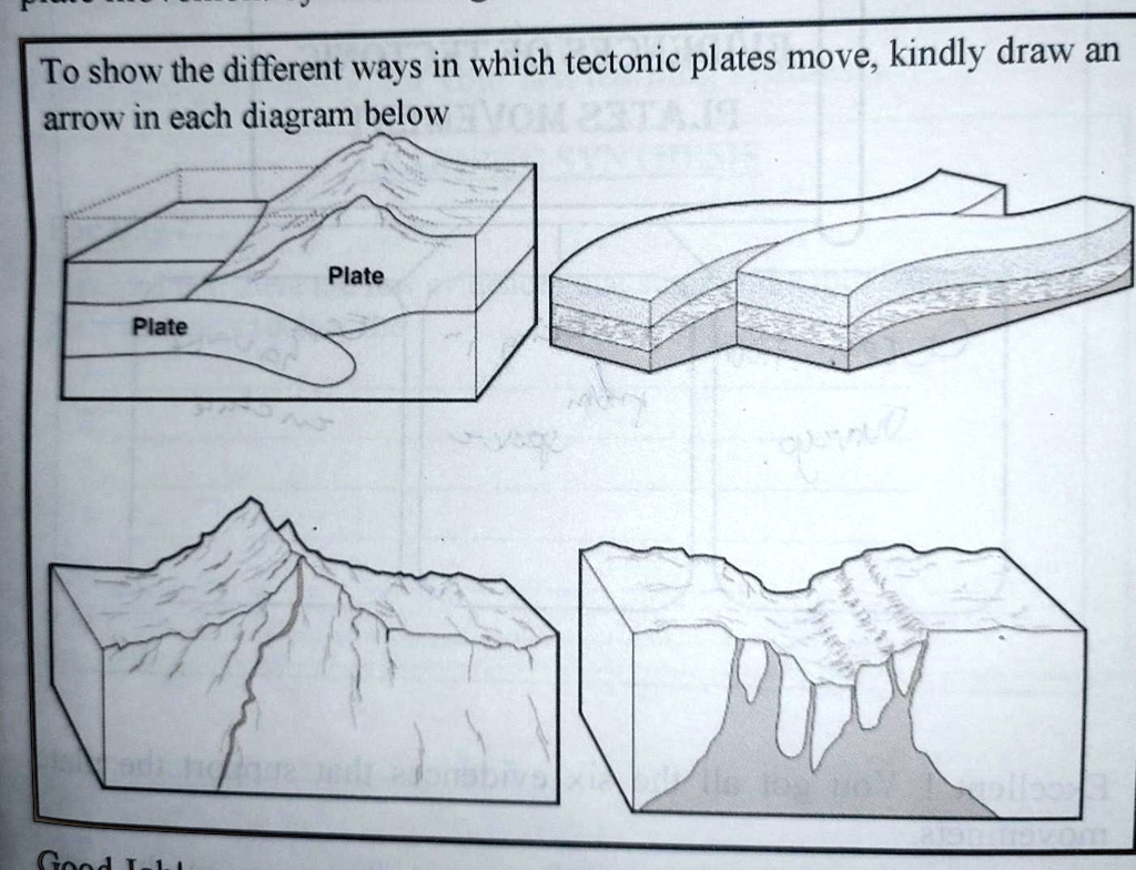 To show the different ways in which tectonic plates move, kindly draw ...