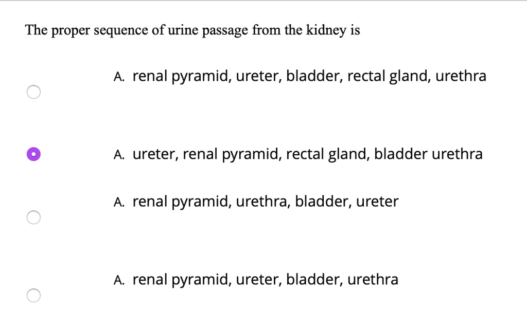 SOLVED: The proper sequence of urine passage from the kidney is A ...