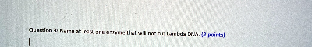Question 3: Name at least one enzyme that will not cut Lambda DNA. (2 points)