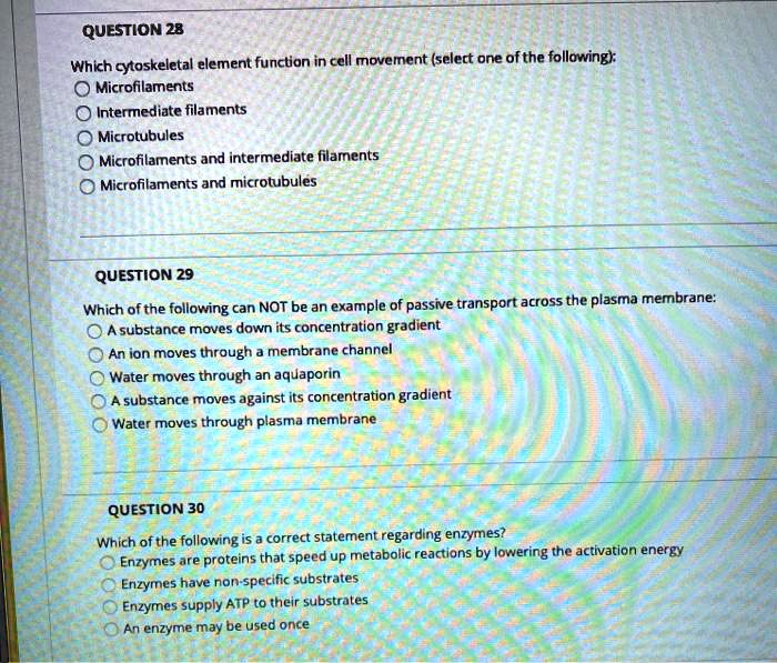 Which Of The Following Statements Regarding Plasma Is Correct SOLVED: QUESTION 28 Which cytoskeletal element functions in cell