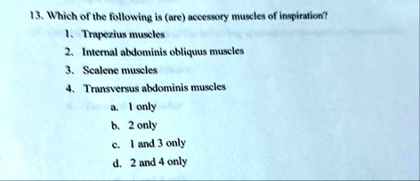 13 which of the following is are accessory muscles of inspiration 1 trapezius muscles 2 internal abdominis obliquus muscles 3 scalene muscles 4 transversus abdominis muscles a 1 only b 2 onl 86344