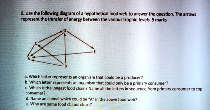 solved-6-use-the-follwing-diagram-of-a-hypothetical-food-web-to-answer