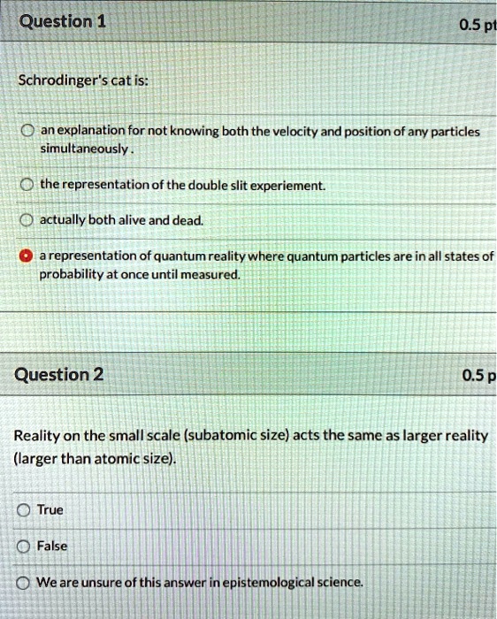 Schrodinger's cat is: an explanation for not knowing both the velocity ...