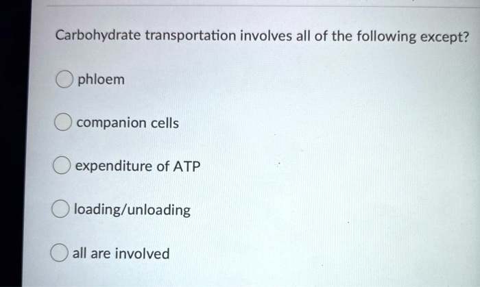 All Of The Following Are Carbohydrates Except SOLVED: Carbohydrate transportation involves all of the following