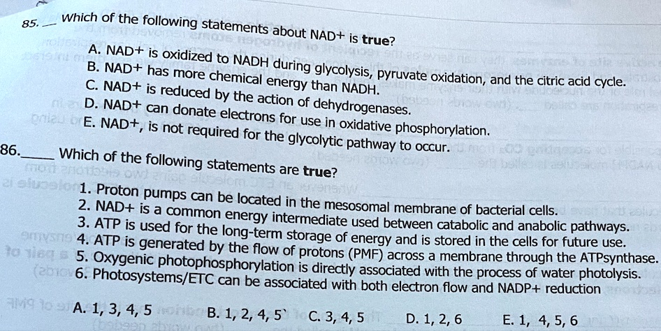 SOLVED: B. NAD+ has more chemical energy than NADH. C. NAD+ is reduced