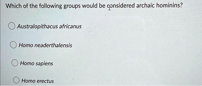 Which of the following groups would be considered archaic hominins?
Australopithacus africanus
Homo neaderthalensis
Homo sapiens
Homo erectus