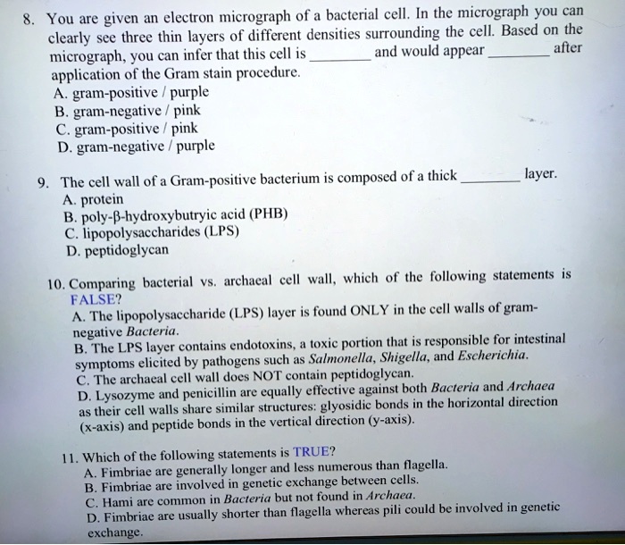 SOLVED You are given an electron micrograph of a bacterial cell. In