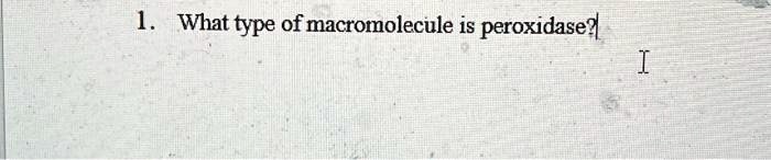 1. What type of macromolecule is peroxidase?