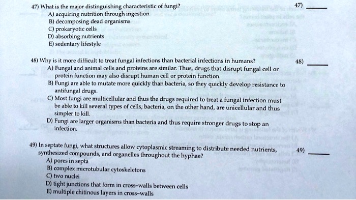 47) What is the major distinguishing characteristic of fungi?
A) acquiring nutrition through ingestion
B) decomposing dead organisms
C) prokaryotic cells
D) absorbing nutrients
E) sedentary lifestyle

48) Why is it more difficult to treat fungal infections than bacterial infections in humans?
A) Fungal and animal cells and proteins are similar. Thus, drugs that disrupt fungal cell or protein function may also disrupt human cell or protein function.
B) Fungi are able to mutate more quickly than bacteria, so they quickly develop resistance to antifungal drugs.
C) Most fungi are multicellular and thus the drugs required to treat a fungal infection must be able to kill several types of cells; bacteria, on the other hand, are unicellular and thus simpler to kill.
D) Fungi are larger organisms than bacteria and thus require stronger drugs to stop an infection.

49) In septate fungi, what structures allow cytoplasmic streaming to distribute needed nutrients, synthesized compounds, and organelles throughout the hyphae?
A) pores in septa
B) complex microtubular cytoskeletons
C) two nuclei
D) tight junctions that form in cross-walls between cells
E) multiple chitinous layers in cross-walls
