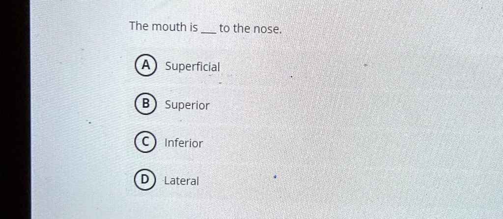 The Nose Is Superior To The Mouth SOLVED: The mouth is to the nose. Superficial Superior Inferior D