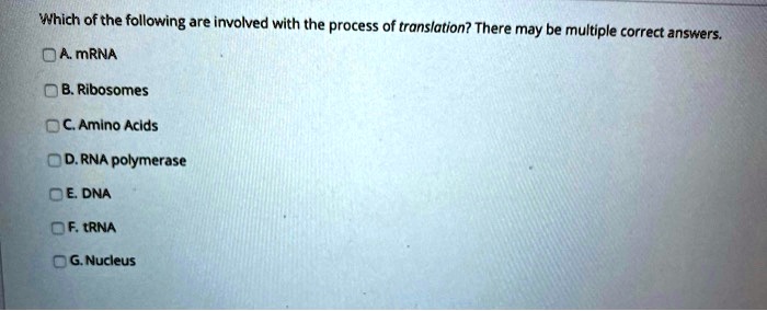 Which of the following are involved with the process of translation? There may be multiple correct answers.
A. mRNA
B. Ribosomes
C. Amino Acids
D. RNA polymerase
E. DNA
F. tRNA
G. Nucleus