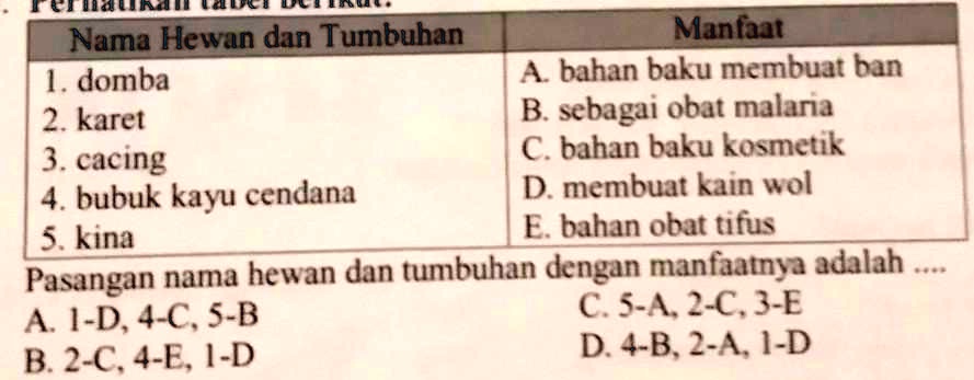 SOLVED: DijawaB YanG BeneR JangaN AsaL C]Matn Nama Hewan Dan Tumbuhan ...