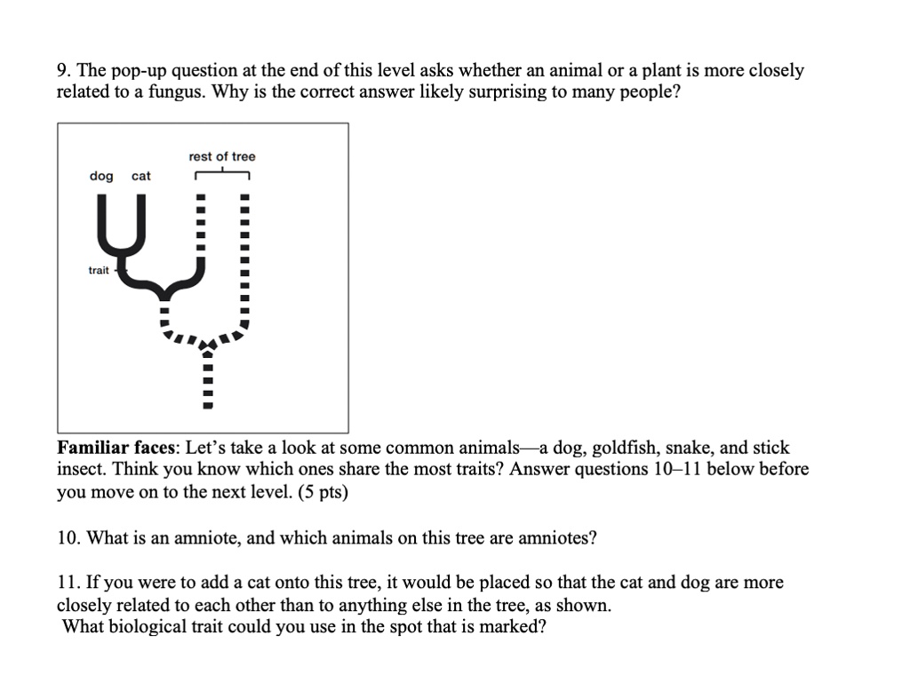 Solved 9 The Pop Up Question At The End Of This Level Asks Whether An Animal Or A Plant Is More Closely Related To A Fungus Why Is The Correct Answer Likely Surprising To