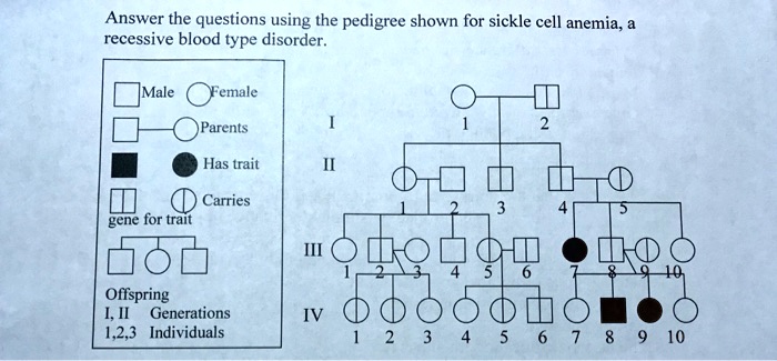 Answer the questions using the pedigree shown for sickle cell anemia, a ...