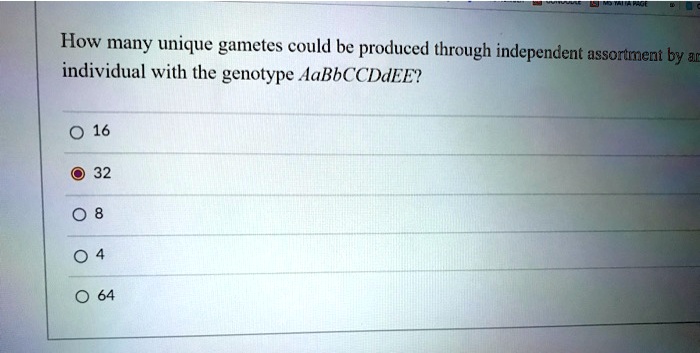 How many unique gametes could be produced through independent