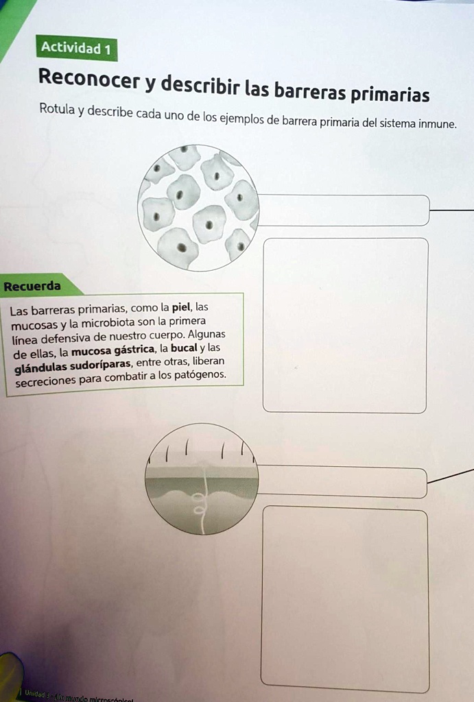 Por favor, lo necesito hoy Actividad Reconocer y describir las barreras