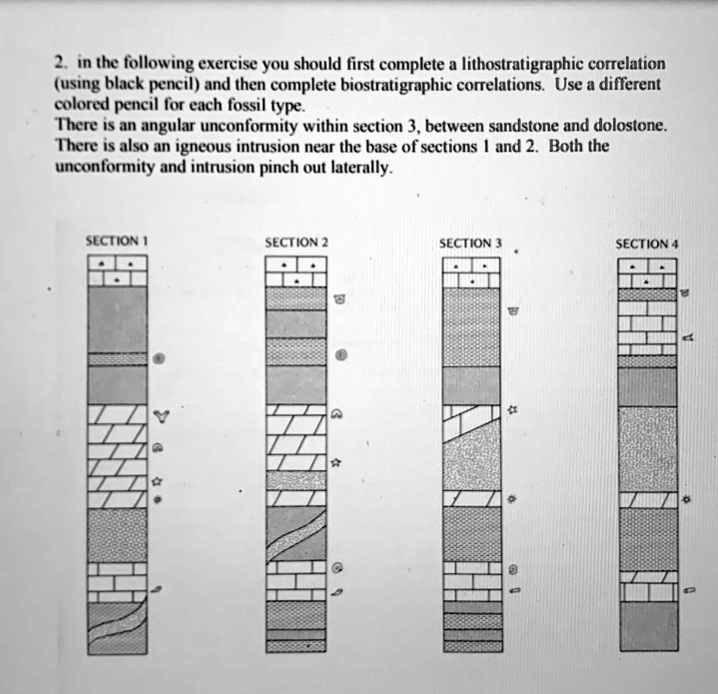 SOLVED: Look up the sedimentary, igneous, and metamorphic diagram to