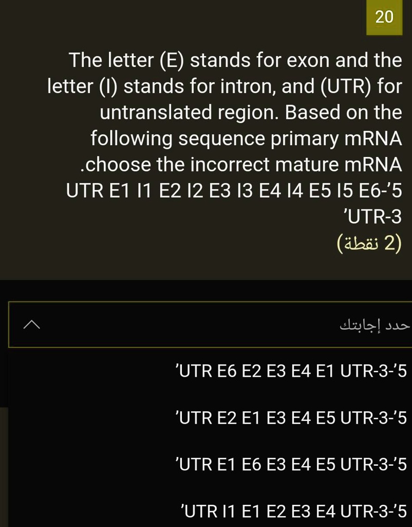 Utr Letter Example The letter (E) stands for exon and the letter (I) stands for...