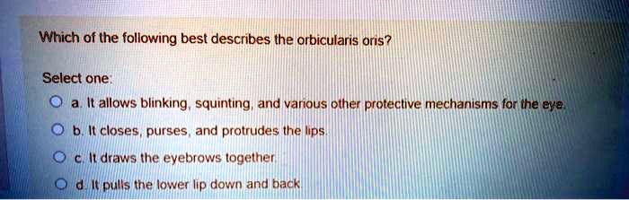 SOLVED Which of the following best describes the orbicularis oris