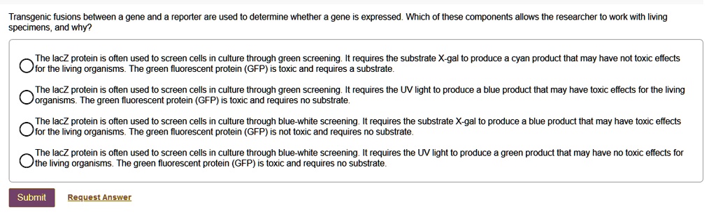Transgenic fusions between a gene and a reporter are used to determine whether a gene is expressed. Which of these components allows the researcher to work with living specimens, and why?

The lacZ protein is often used to screen cells in culture through green screening. It requires the substrate X-gal to produce a cyan product that may have not toxic effects for the living organisms. The green fluorescent protein (GFP) is toxic and requires a substrate.

The lacZ protein is often used to screen cells in culture through green screening. It requires the UV light to produce a blue product that may have toxic effects for the living organisms. The green fluorescent protein (GFP) is toxic and requires no substrate.

The lacZ protein is often used to screen cells in culture through blue-white screening. It requires the substrate X-gal to produce a blue product that may have toxic effects for the living organisms. The green fluorescent protein (GFP) is not toxic and requires no substrate.

The lacZ protein is often used to screen cells in culture through blue-white screening. It requires the UV light to produce a green product that may have no toxic effects for the living organisms. The green fluorescent protein (GFP) is toxic and requires no substrate.