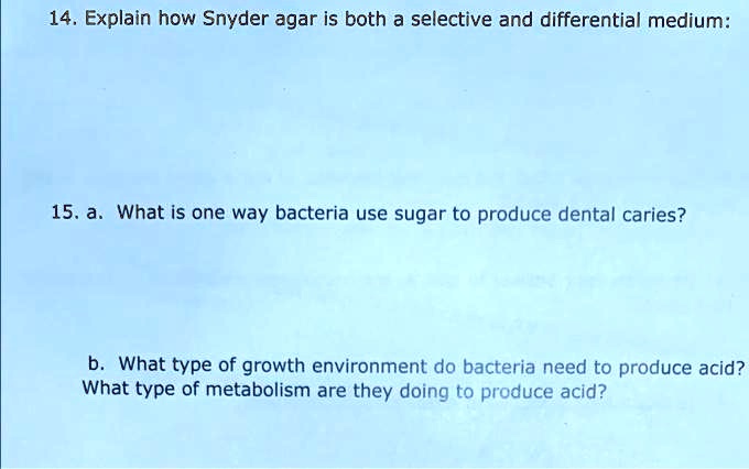 14. Explain how Snyder agar is both a selective and differential medium:
15. a. What is one way bacteria use sugar to produce dental caries?
b. What type of growth environment do bacteria need to produce acid?
What type of metabolism are they doing to produce acid?
