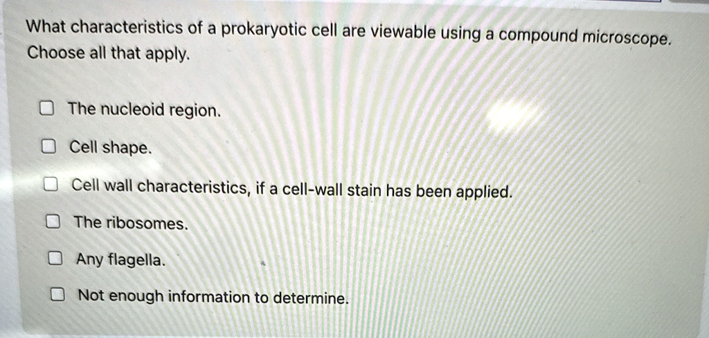 what characteristics of a prokaryotic cell are viewable using a ...