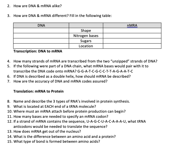 SOLVED How are DNA and mRNA alike? How are DNA and mRNA different
