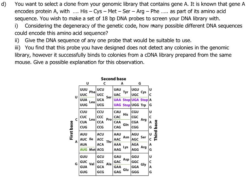 d) You want to select a clone from your genomic library that contains