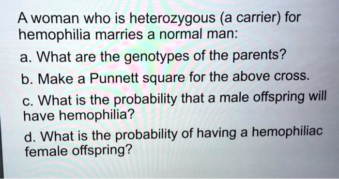 Solved A Woman Who Is Heterozygous A Carrier For Hemophilia Marries