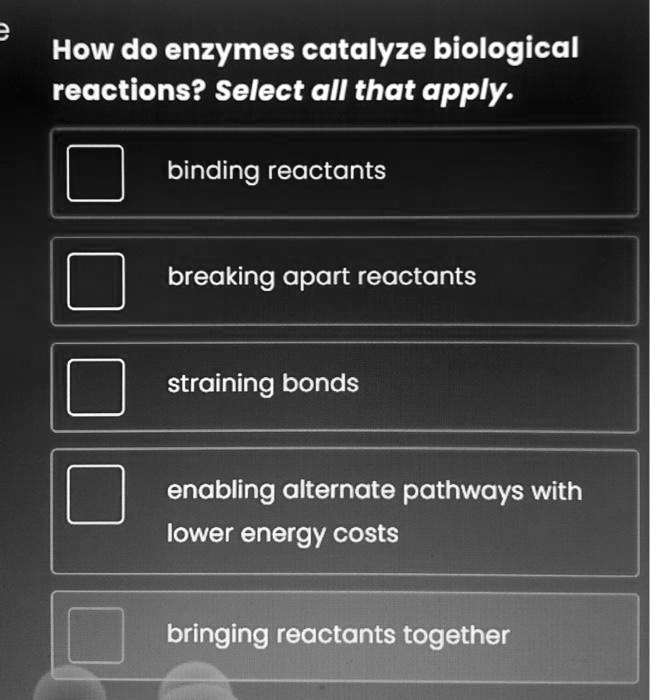 SOLVED How do enzymes catalyze biological reactions? Select all that