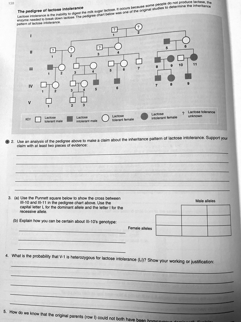 SOLVED People do not produce lactase because some determine the inheritance. The pedigree of