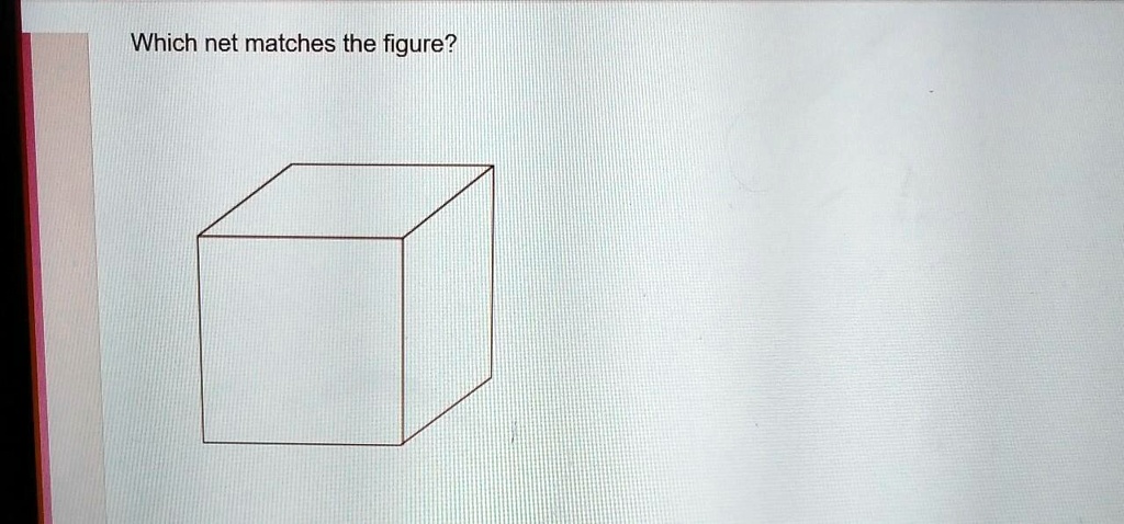 Which net matches the figure?
