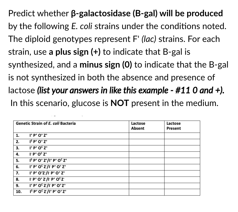 Predict whether ?-galactosidase (B-gal) will be produced by the following E. coli strains under the conditions noted. The diploid genotypes represent F' (lac) strains. For each strain, use a plus sign (+) to indicate that B-gal is synthesized, and a minus sign (0) to indicate that the B-gal is not synthesized in both the absence and presence of lactose (list your answers in like this example - #11 0 and +). In this scenario, glucose is NOT present in the medium.

Genetic Strain of E. coli Bacteria | Lactose Absent | Lactose Present
1. I+ P+ O+ Z+
2. IS P+ O+ Z+
3. I+ P+ OC Z+
4. I- P+ OC Z+
5. IS P+ O+ Z+/I+ P+ OC Z+
6. I+ P+ OC Z-/I- P+ O+ Z+
7. I+ P+ O+Z-/I- P+ O+ Z+
8. I- P+ O+ Z-/I- P+ OC Z-
9. I+ P+ OC Z-/I- P+ O+ Z+
10. IS P+ OC Z-/I+ P+ O+ Z+