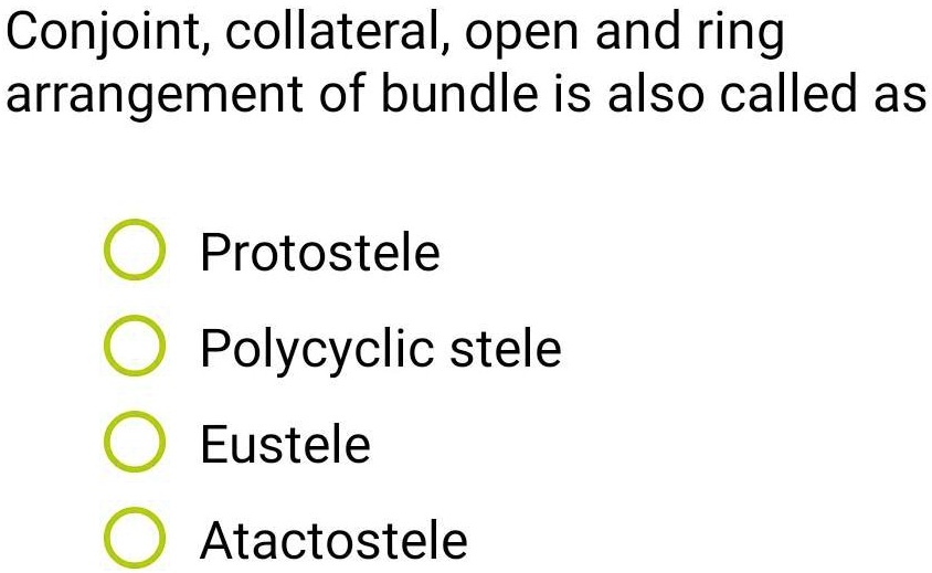 Solved Which Is The Correct Option Conjoint Collateral Open And